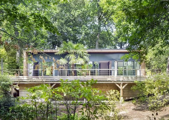 Oasis
